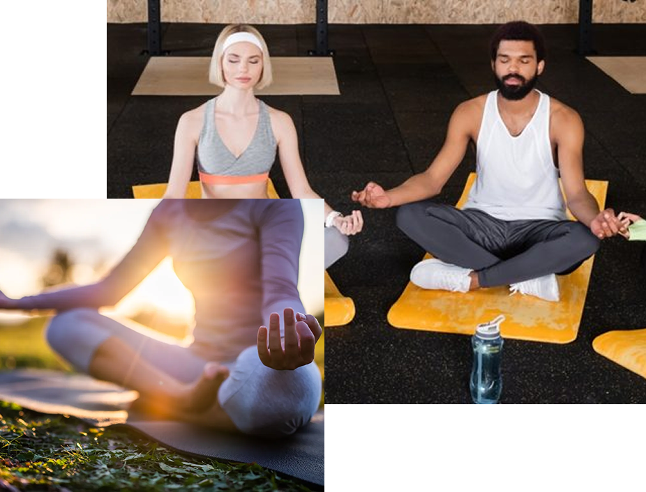 Meditación Budista Meditación Budista