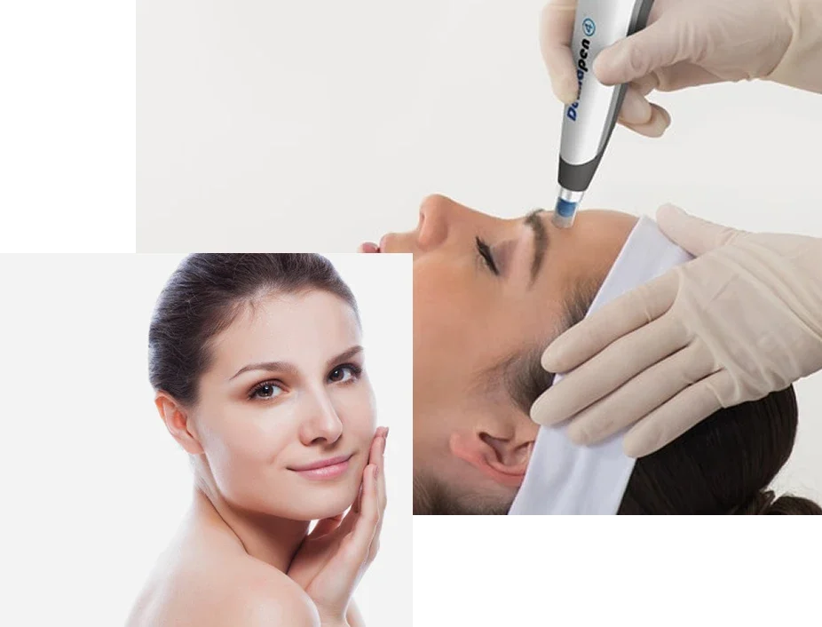 Nutricion-y-Regeneracion Nutricion-y-Regeneracion